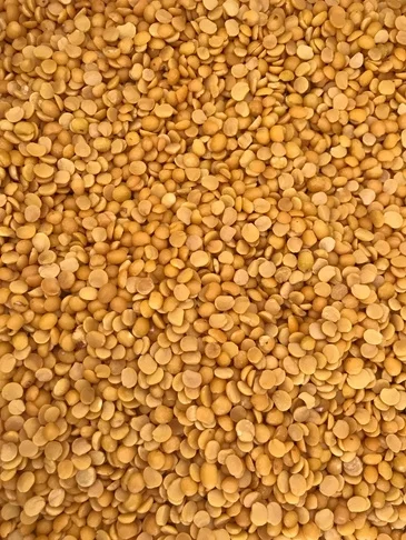 Pigeon Pea (Toor Dal)
