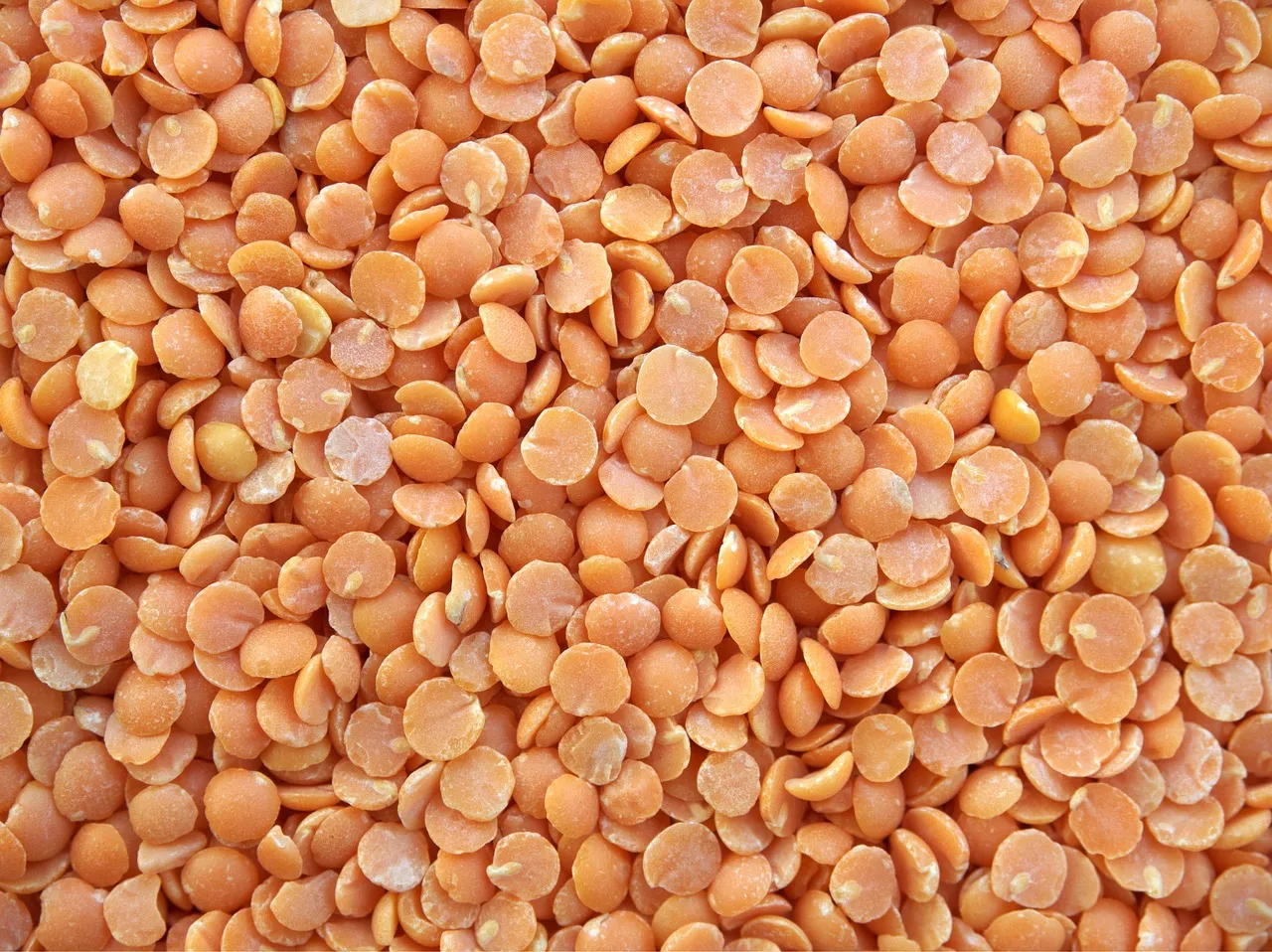 Red Lentils (Masoor Dal)