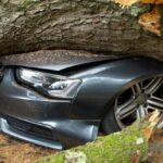Car Insurance