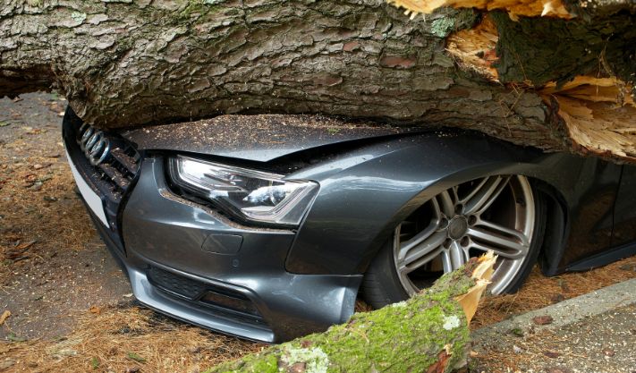 Car Insurance